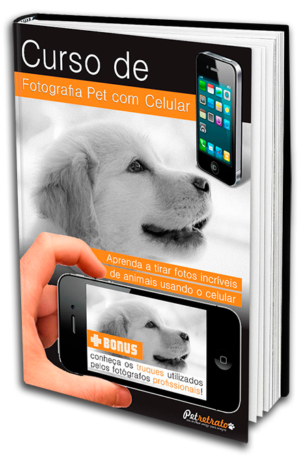 Curso Fotografia Pet com Celular